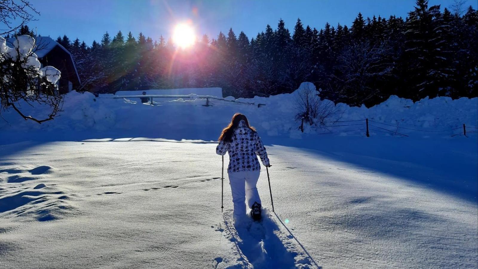 Kantor Village Am Millstaetter See - Boutique-Chalets Und Lodges Милщат Екстериор снимка